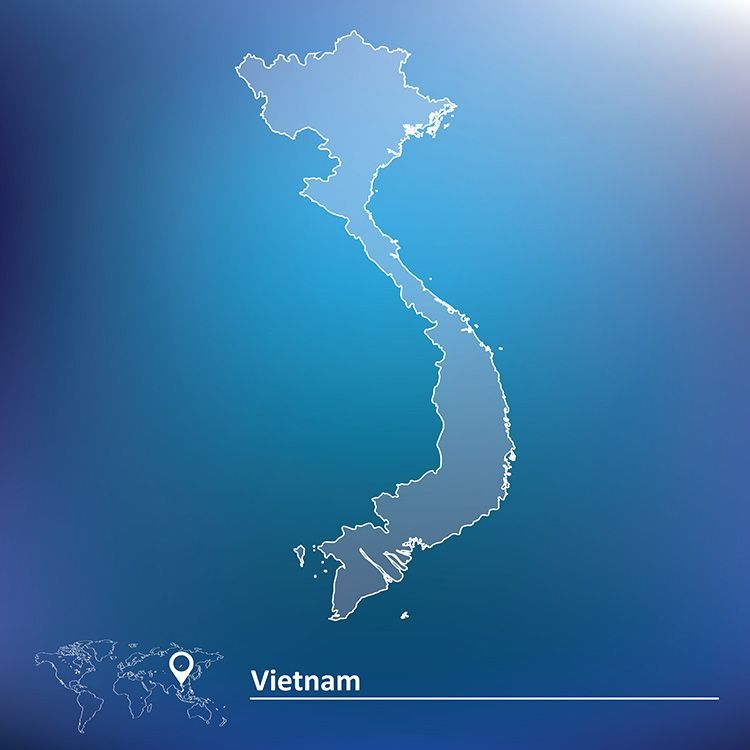 Mobile and online research panel in Vietnam